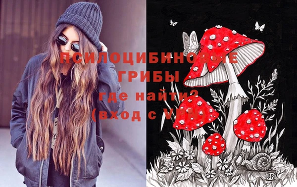 гашик Пестово
