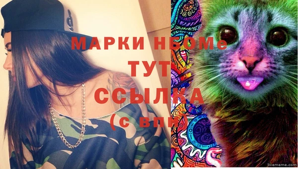 кокс Аркадак