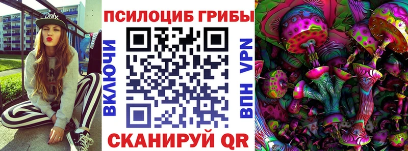 сколько стоит  Полярные Зори  Галлюциногенные грибы прущие грибы 